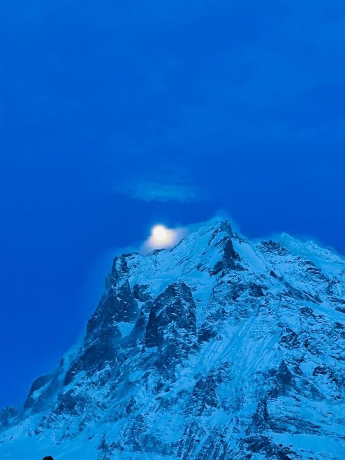 Jaegerstuebli Hotel Grindelwald
